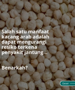 Alternative view of KACANG ARAB ECER