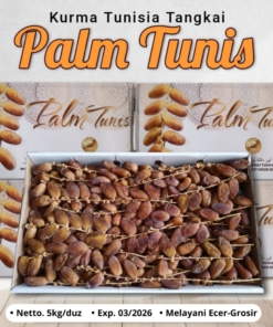 KURMA TUNISIA TANGKAI PALM TUNIS