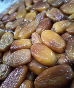 Alternative view of KURMA ALGERIA TUNISIA MADU