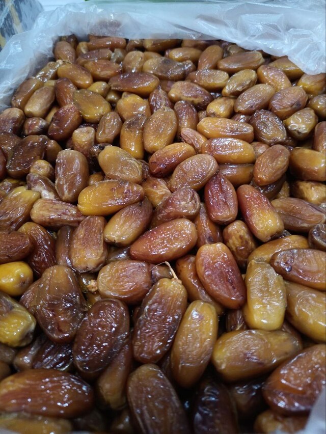 KURMA ALGERIA TUNISIA MADU - Gambar 3