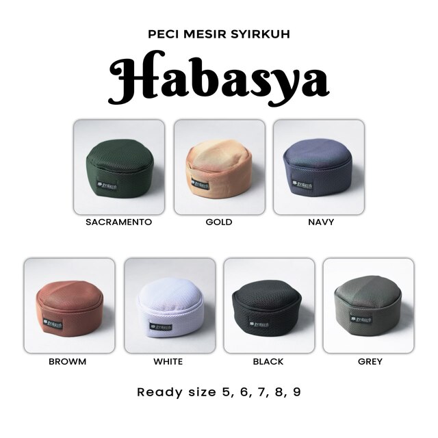 SYIRKUH PECI MESIR HABASYA DEWASA - Gambar 3