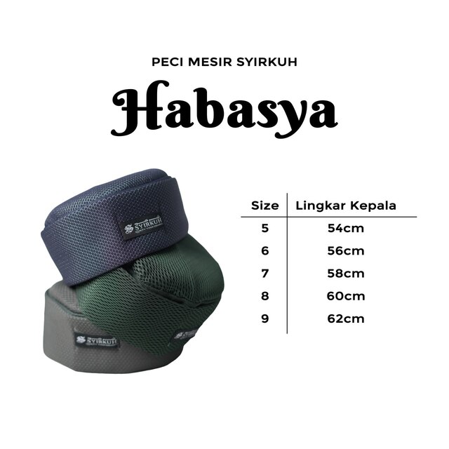 SYIRKUH PECI MESIR HABASYA DEWASA - Gambar 2