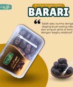 Alternative view of KURMA BAM ANGGUR BARARI